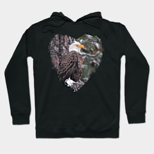 American Bald Eagle Hoodie